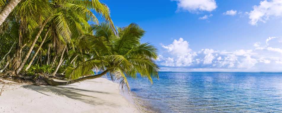 Beach - Alphonse Island