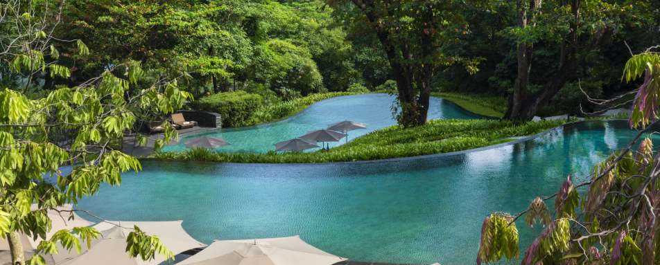Pool - Capella Singapore 