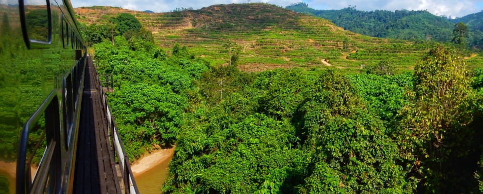 Eastern Oriental Wild Malaysia Day 4