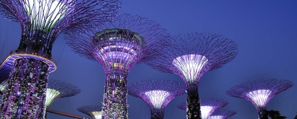 City Tour and Gardens By the Bay