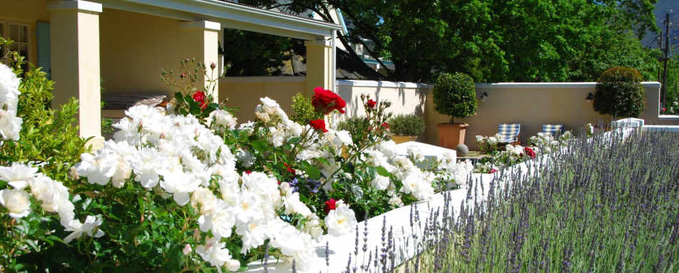 Patio - Auberge Clermont