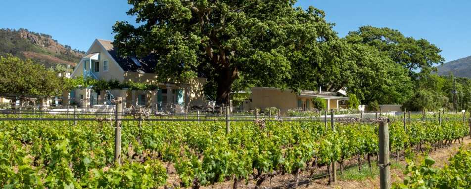 View from the vineyard - Auberge Clermont