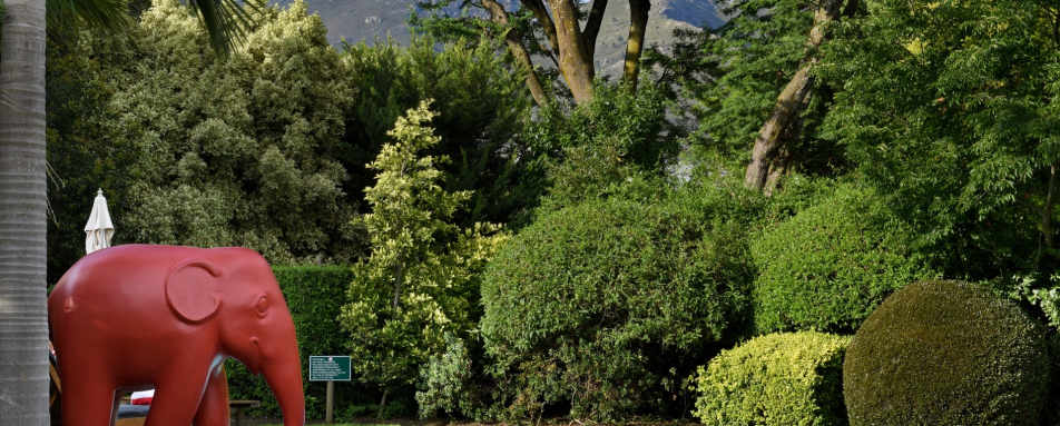 Swimming pool and mountain views 