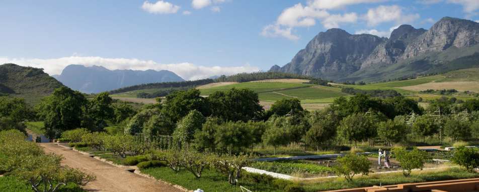 Gardens - Babylonstoren