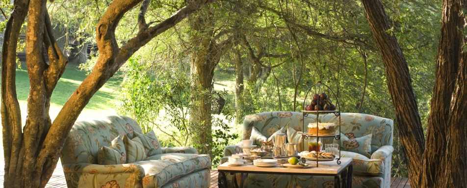 Afternoon tea - Ngala Safari Lodge