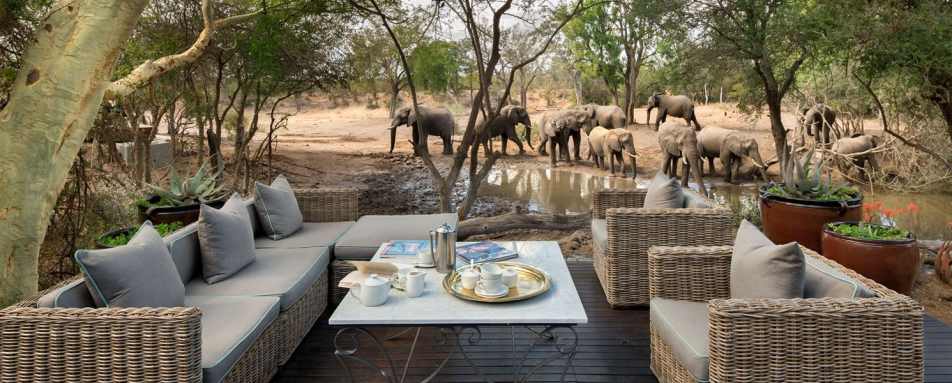 Elephant herd - Ngala Safari Lodge