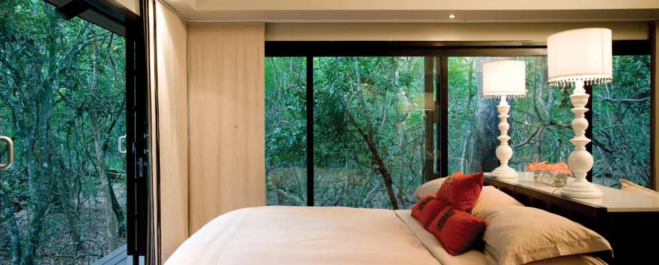 Phinda Forest Lodge