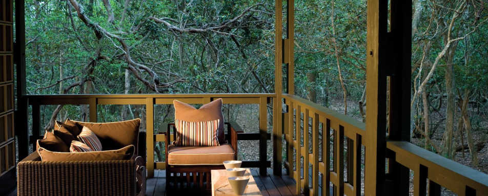 Phinda Forest Lodge