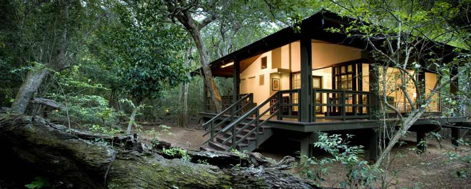 Suite - Phinda Forest Lodge