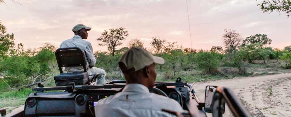 Electric game viewing 