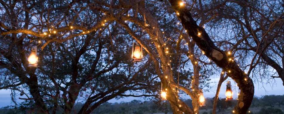 Dinner out - Chitwa Chitwa