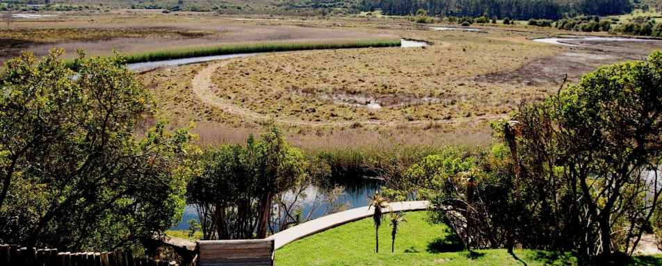 View from the lodge - Emily Moon