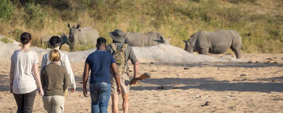 Safari Walks at Jock Safari Lodge