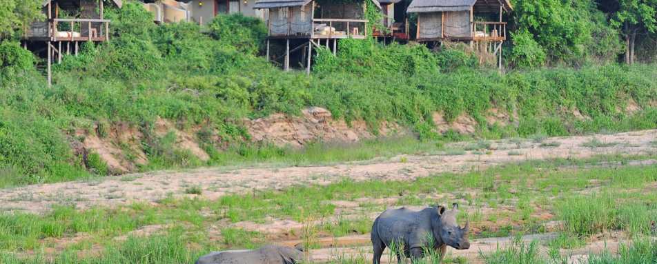 Rhino exterior at Jock Safari Lodge