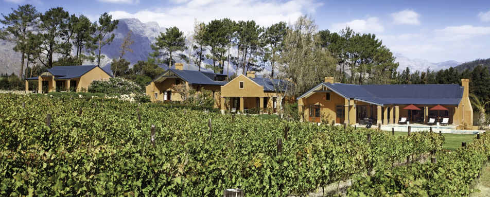 Vineyards on the estate 