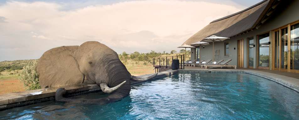 Main lodge pool - Mhondoro Game Lodge