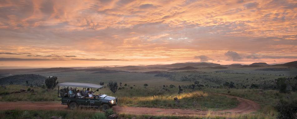 Game drive - Mhondoro Game Lodge