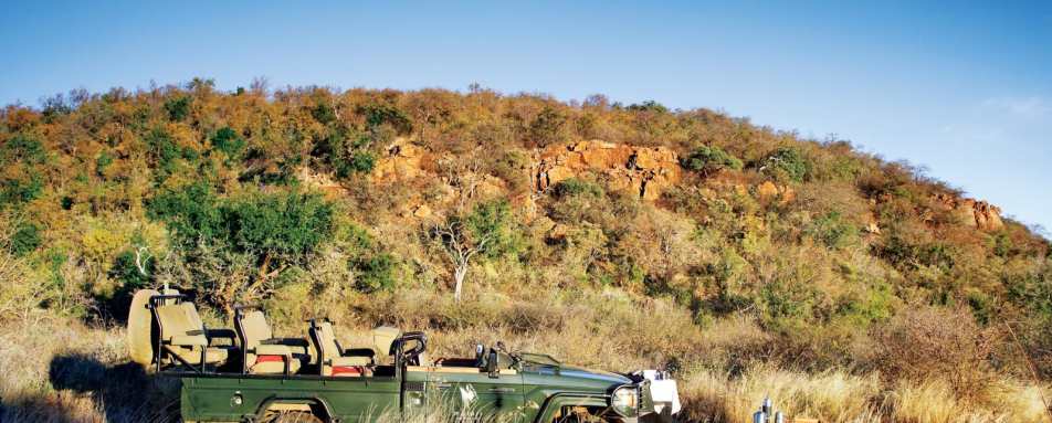 Bush picnic - Molori Safari Lodge