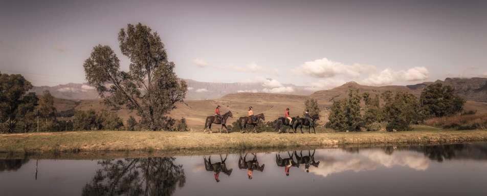 Horse riding - Montusi Mountain Lodge