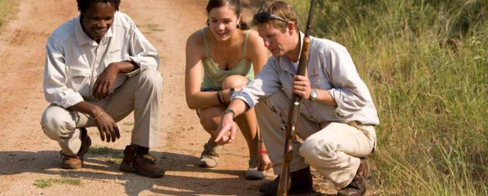 Tortoise spotting - Morukuru Farm House