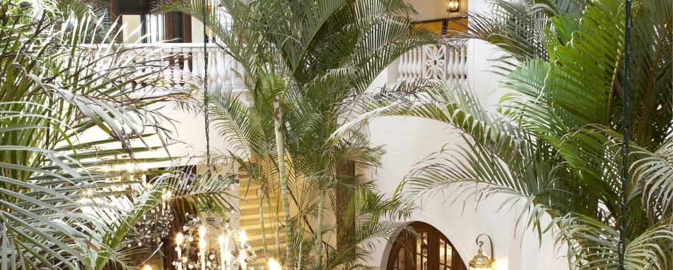 Palm court 
