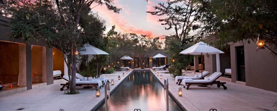 Swimming pool - Royal Malewane