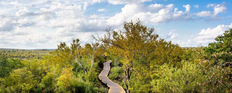 Walkway - Singita Lebombo Lodge