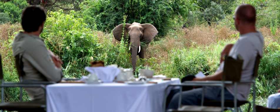 Lunch views - Singita Lebombo Lodge