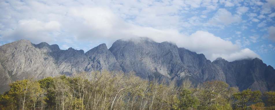 View - The Last Word Franschhoek