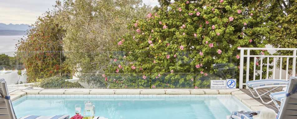 Beach house pool  - The Plettenberg