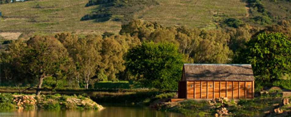 Out and about at Babylonstoren