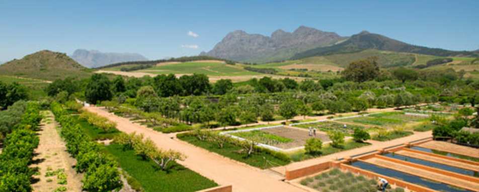 The Garden at Babylonstoren