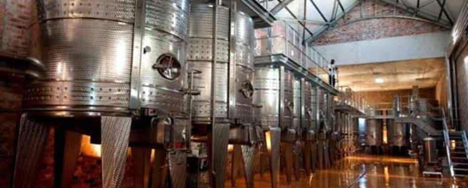 Wine at Babylonstoren