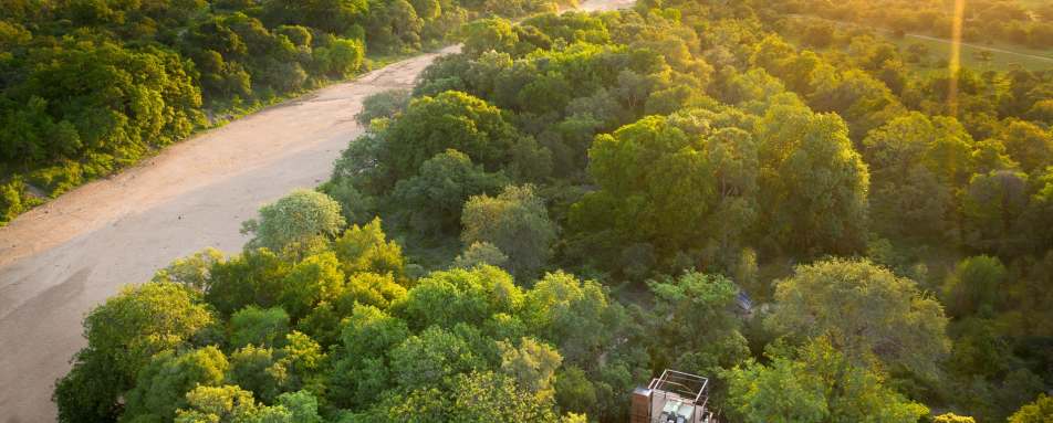 Tree house Timbavati 