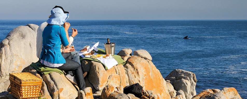 Whale Watching at Grootbos 