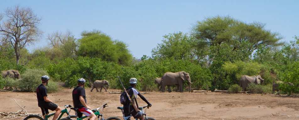 Cycling safari in Mashatu 