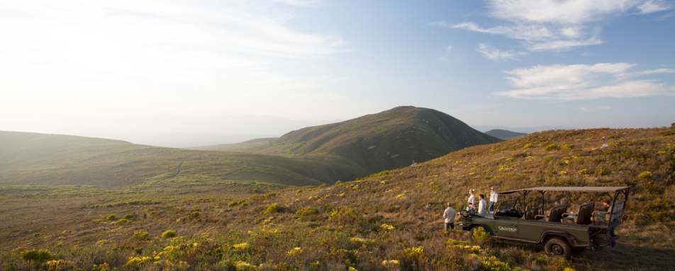 Grootbos safari  