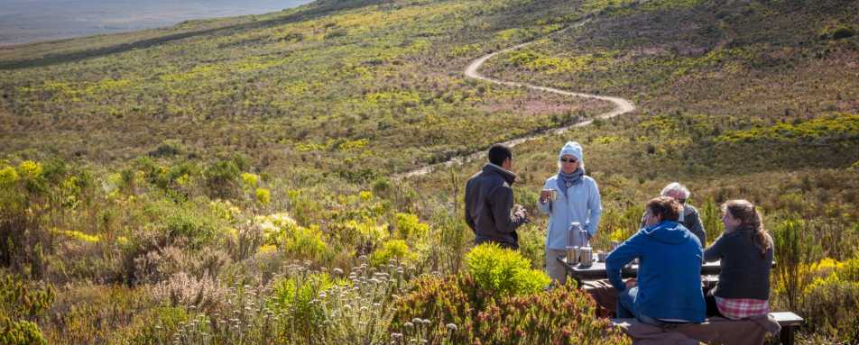 Grootbos picnic 
