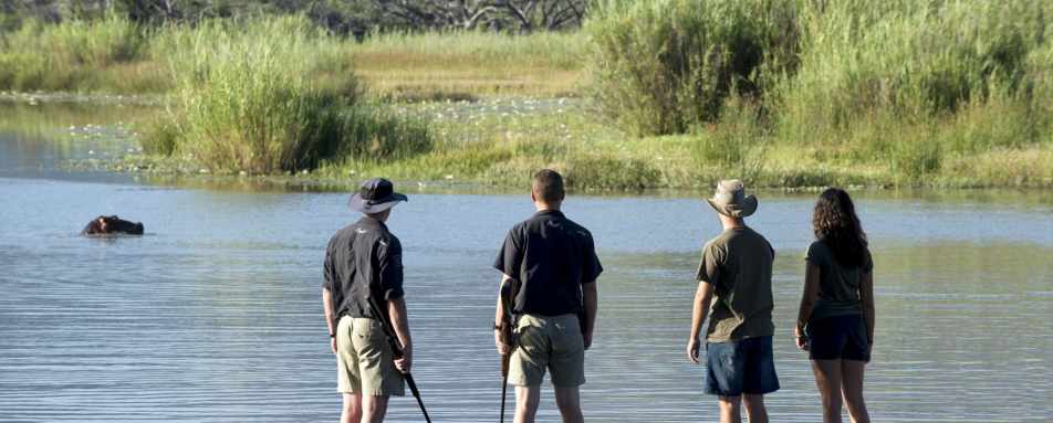 Walking safari at Marataba 
