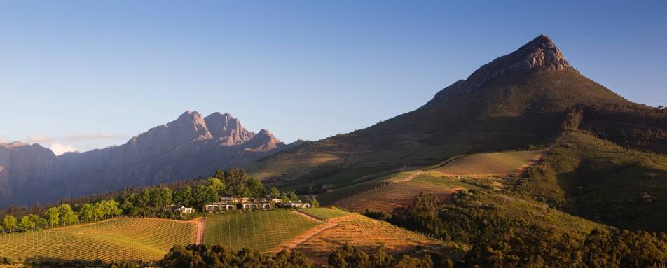 The Winelands 