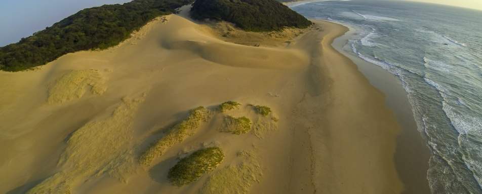 Elephant Coast - South Africa Uncovered 