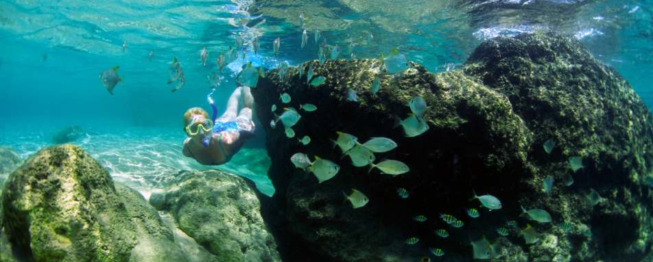 Snorkelling on the reef - South Africa Uncovered 