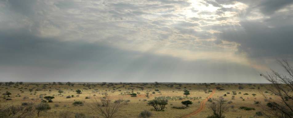 Kalahari Reserve 