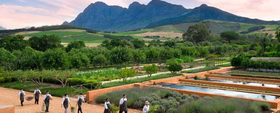 Babylonstoren Gardens 