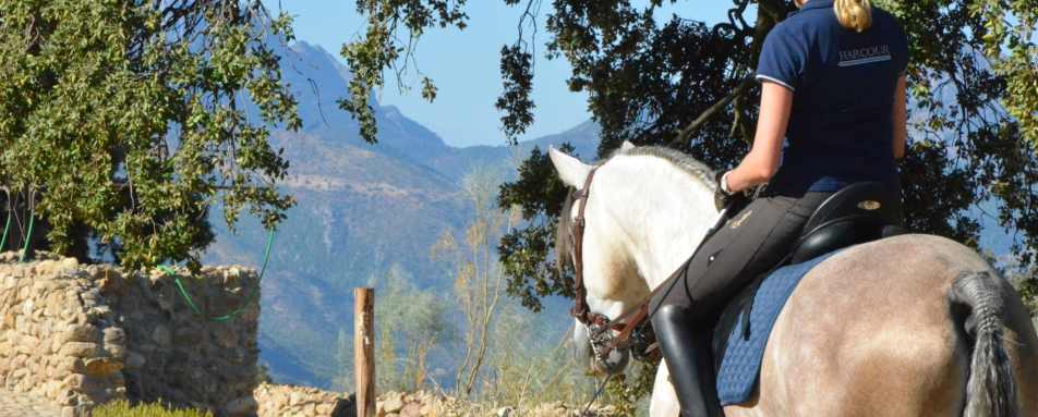 Horse riding - Finca La Donaira