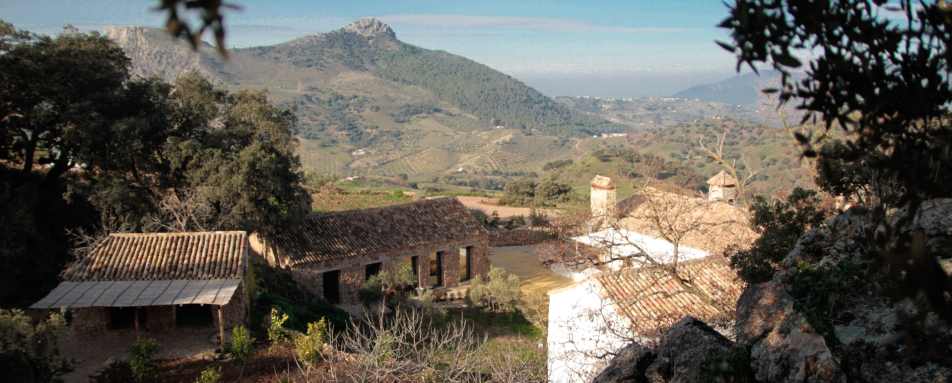 View - Finca La Donaira