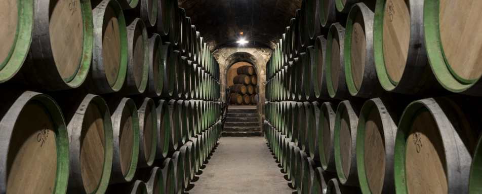 Winery barrels - Hotel Marques de Riscal