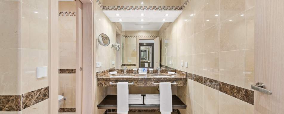 Deluxe Room Bathroom 