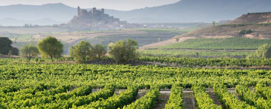 Vineyards - Indulgent escape to the Basque Country