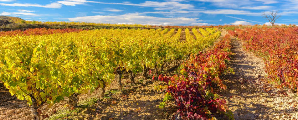 La Rioja - Indulgent escape to the Basque Country